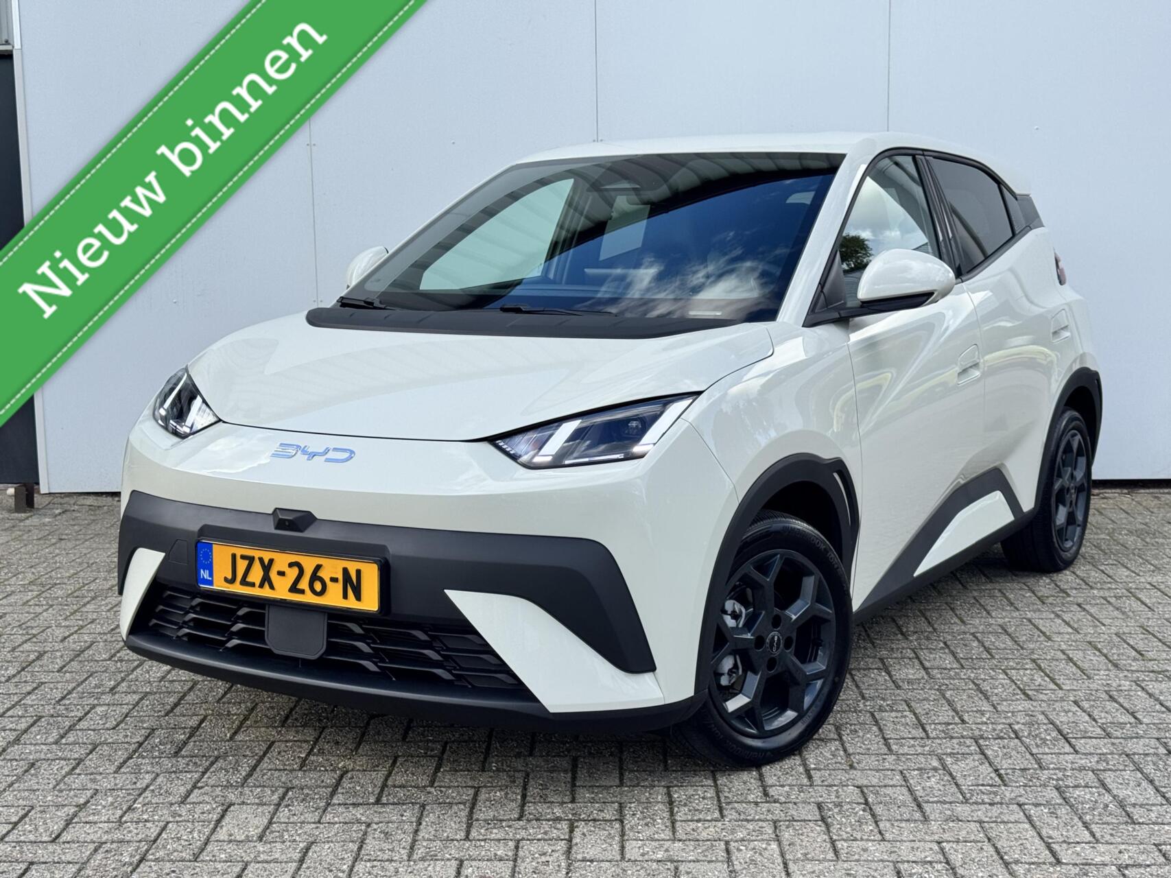 Foto van BYD DOLPHIN SURF