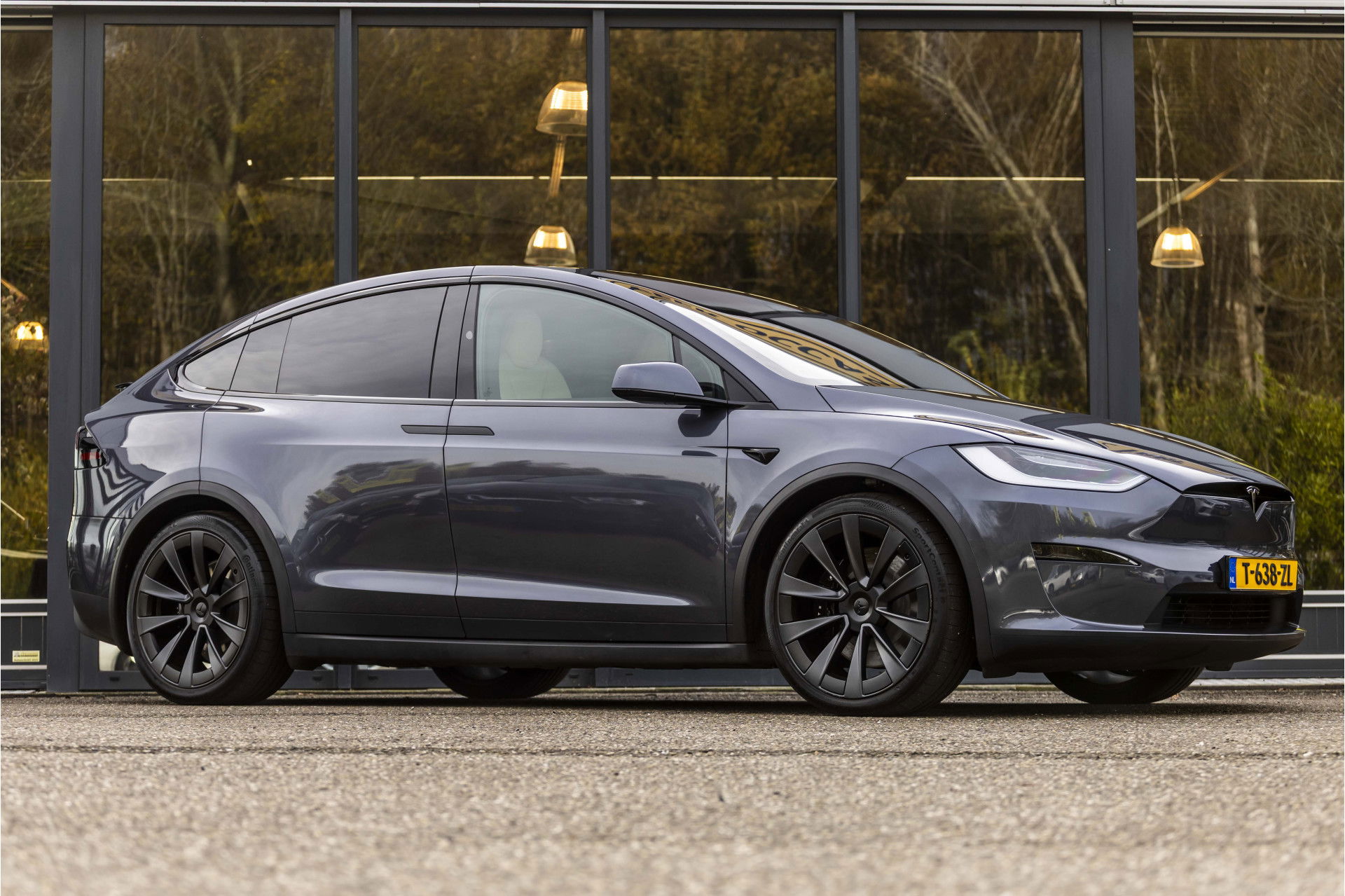 Foto van Tesla Model X