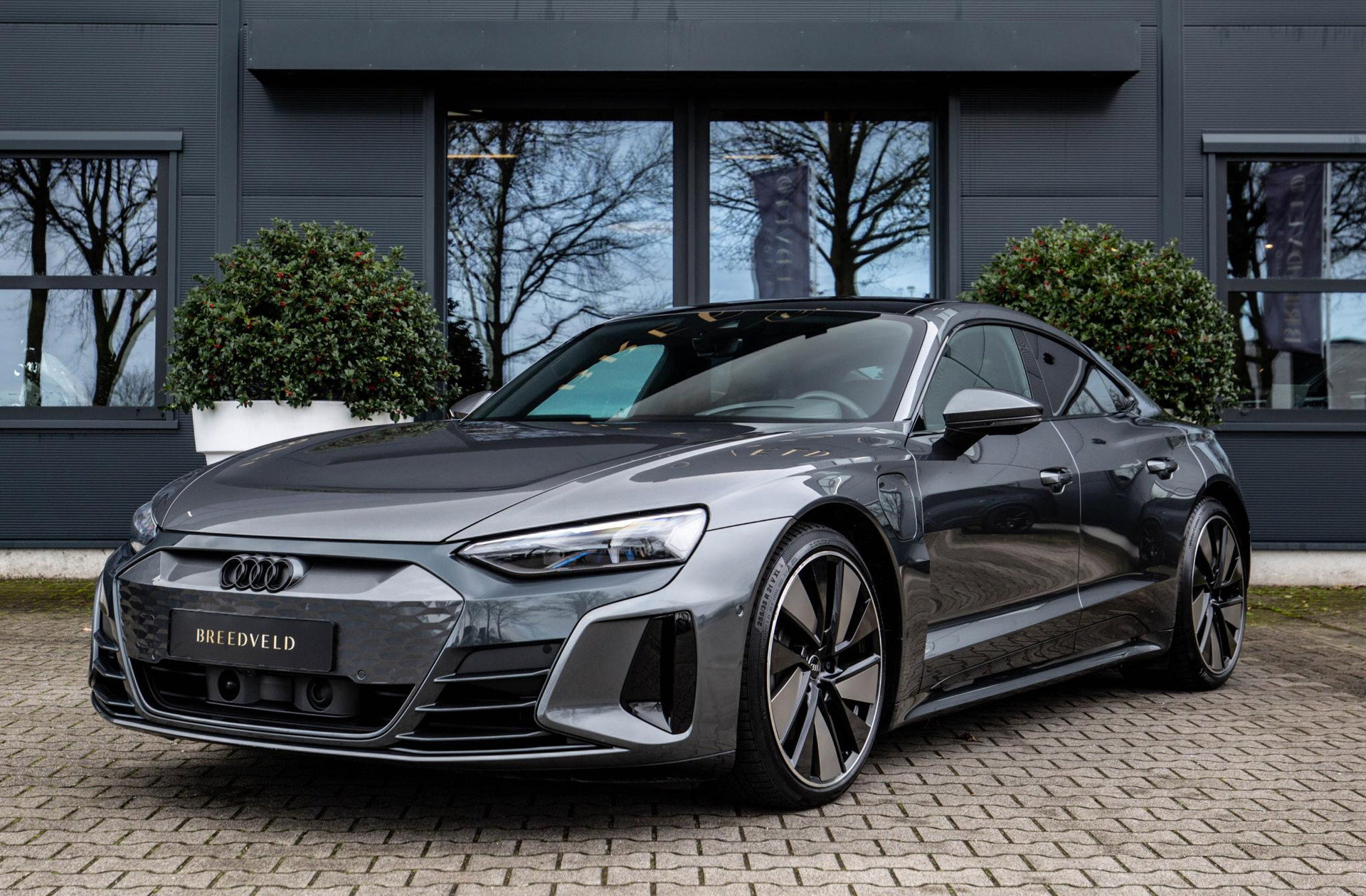 Foto van Audi e-tron GT