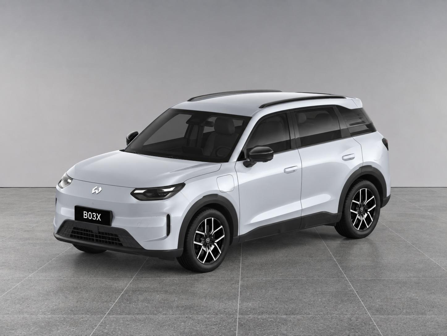 Foto van Leapmotor B03X