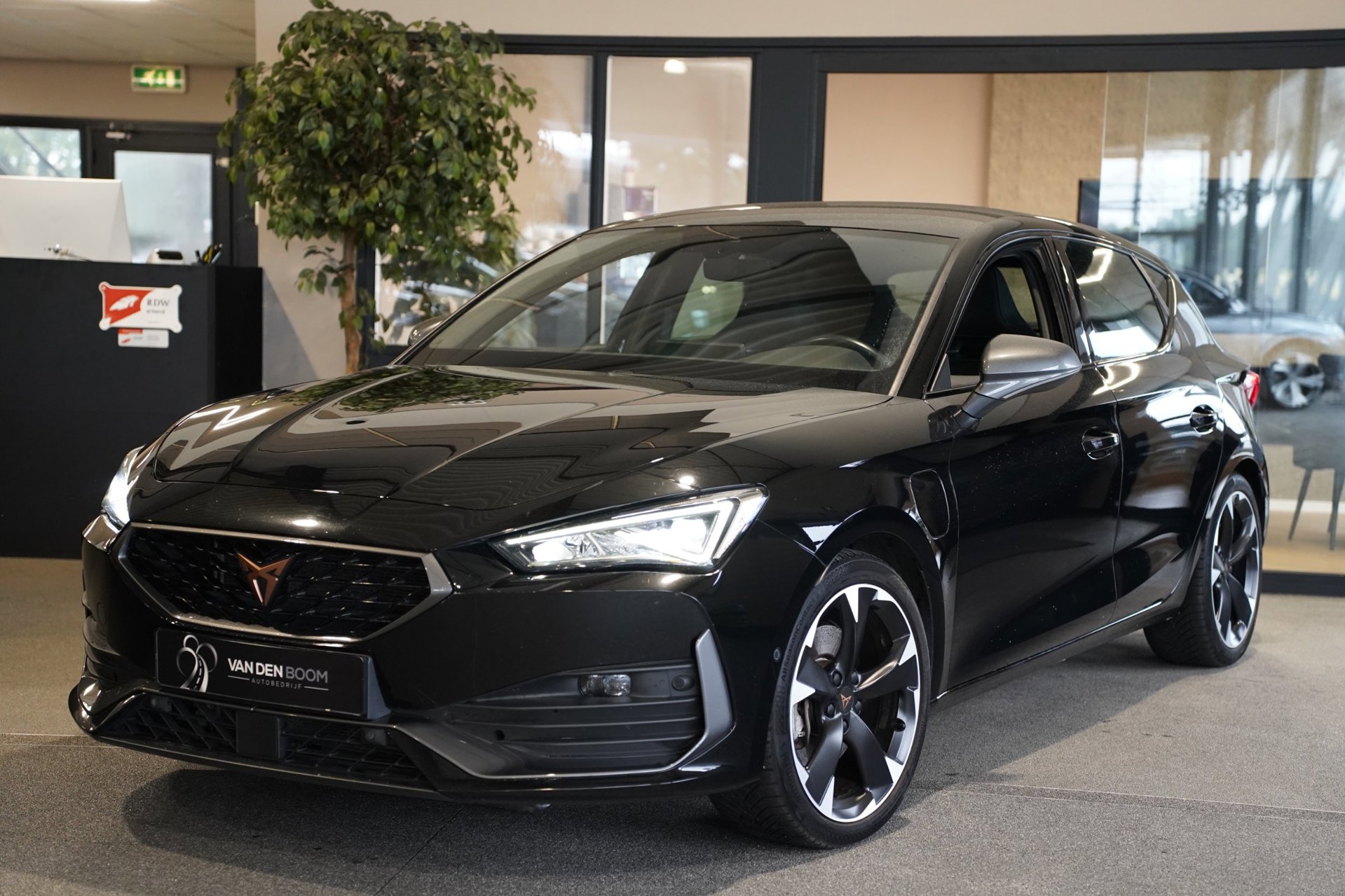 Foto van CUPRA Leon