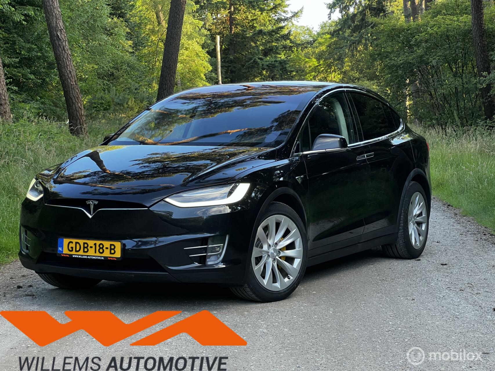 Foto van Tesla Model X
