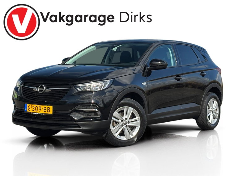 Foto van Opel Grandland X