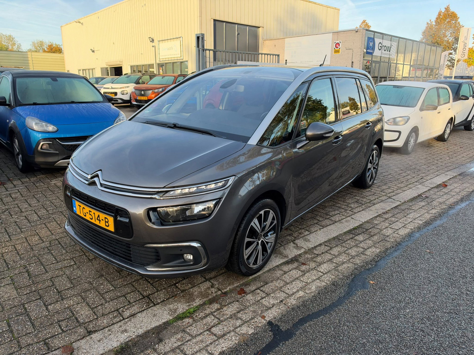 Foto van Citroën Grand C4 Spacetourer