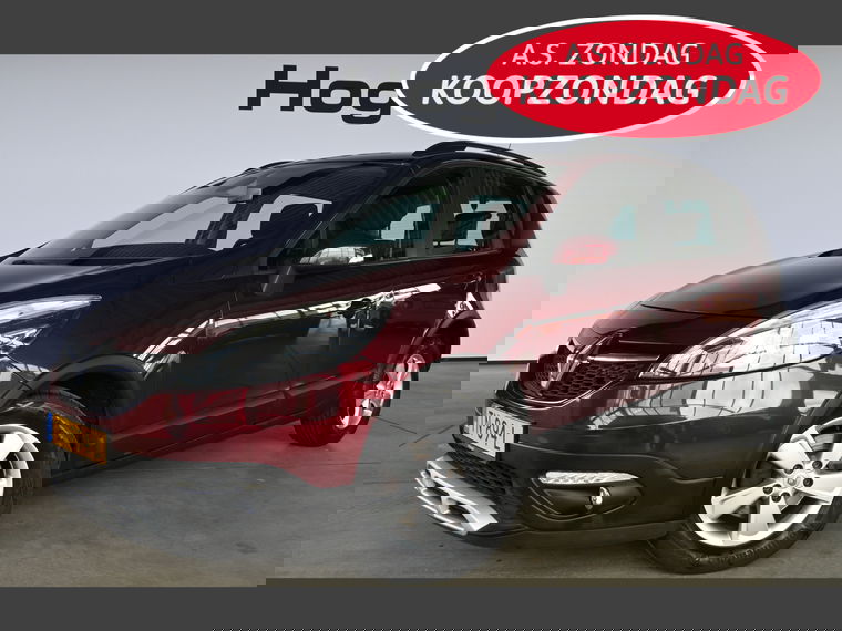 Foto van Renault Scénic Xmod