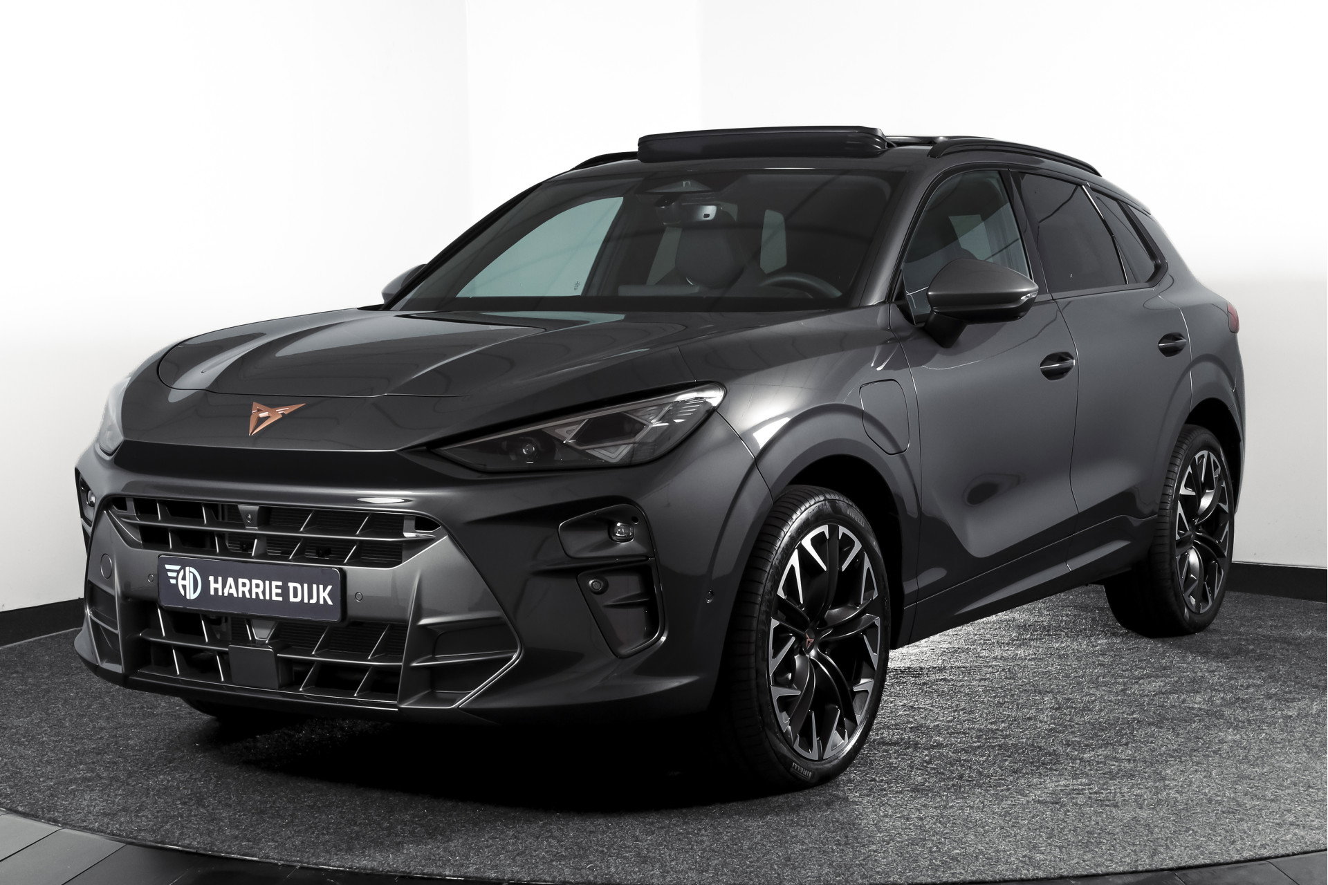 Foto van CUPRA Terramar