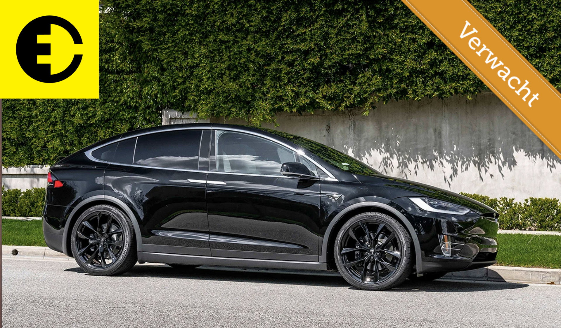 Foto van Tesla Model X