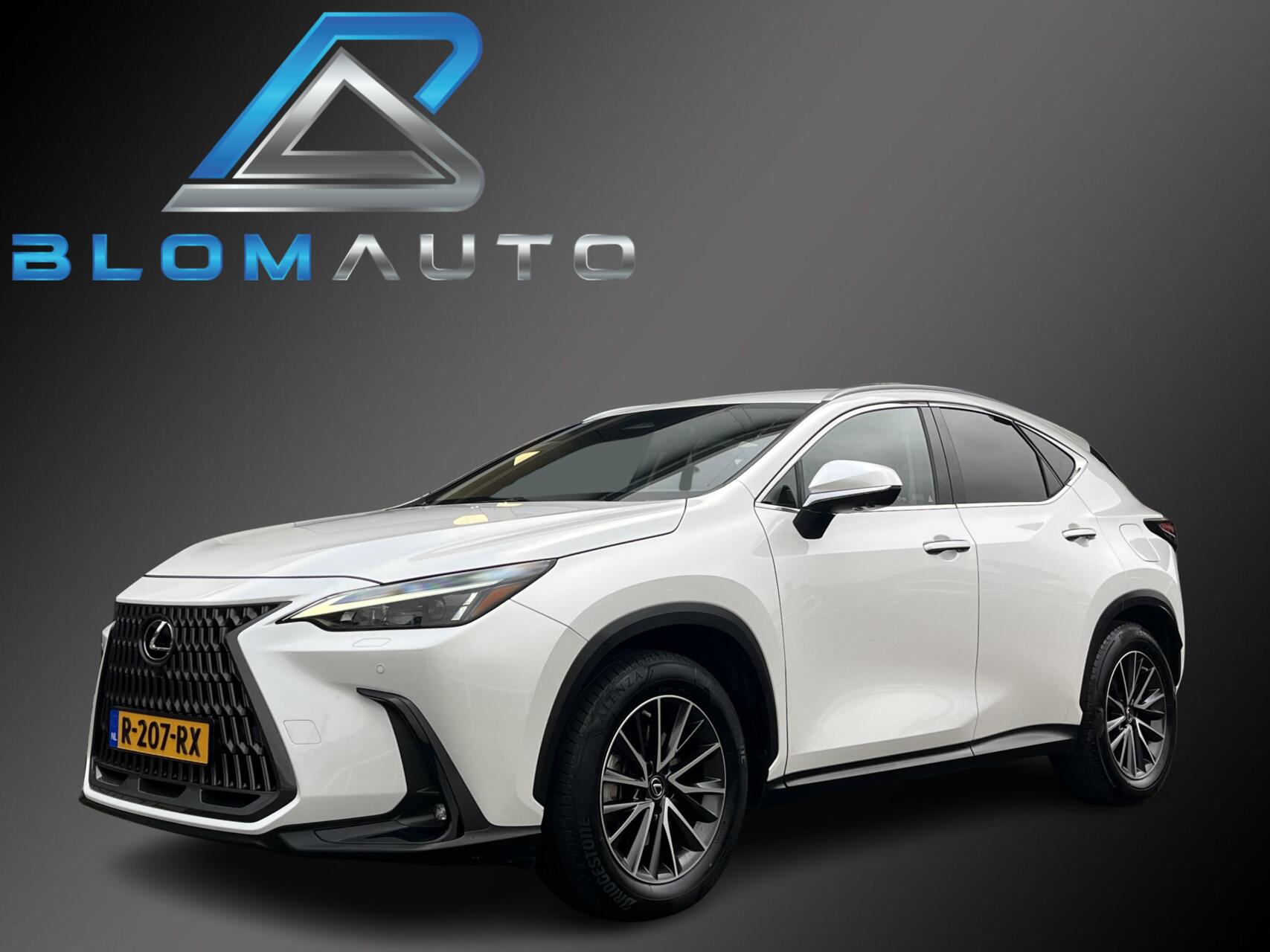Foto van Lexus NX