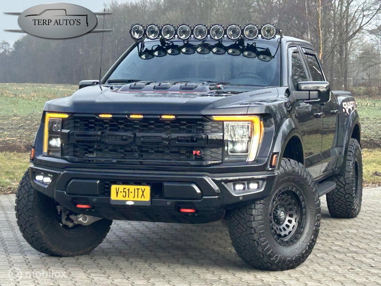 Foto van Ford F-150