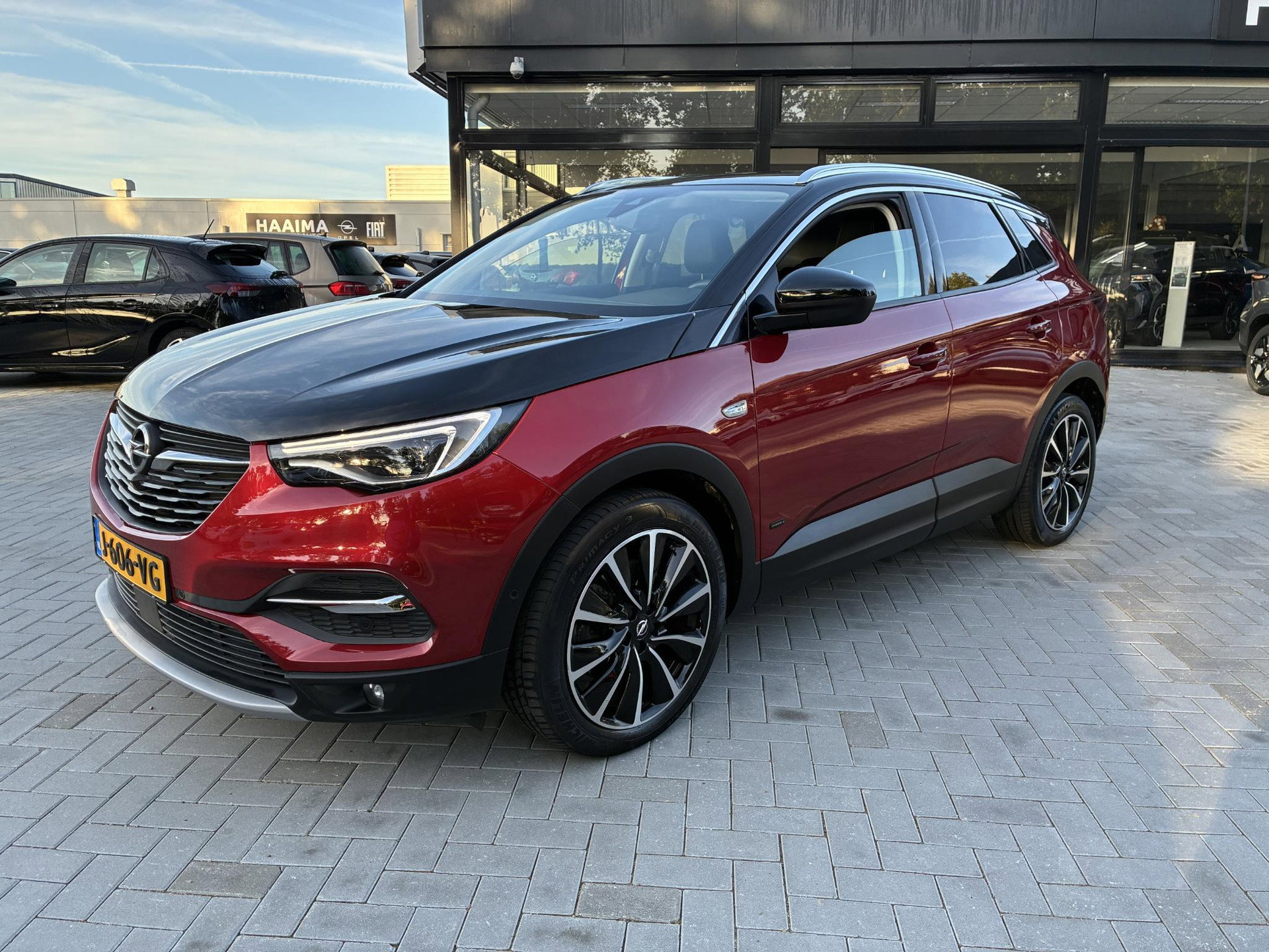Foto van Opel Grandland X