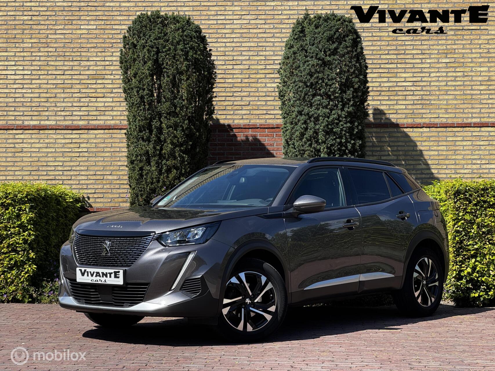Foto van Peugeot 2008
