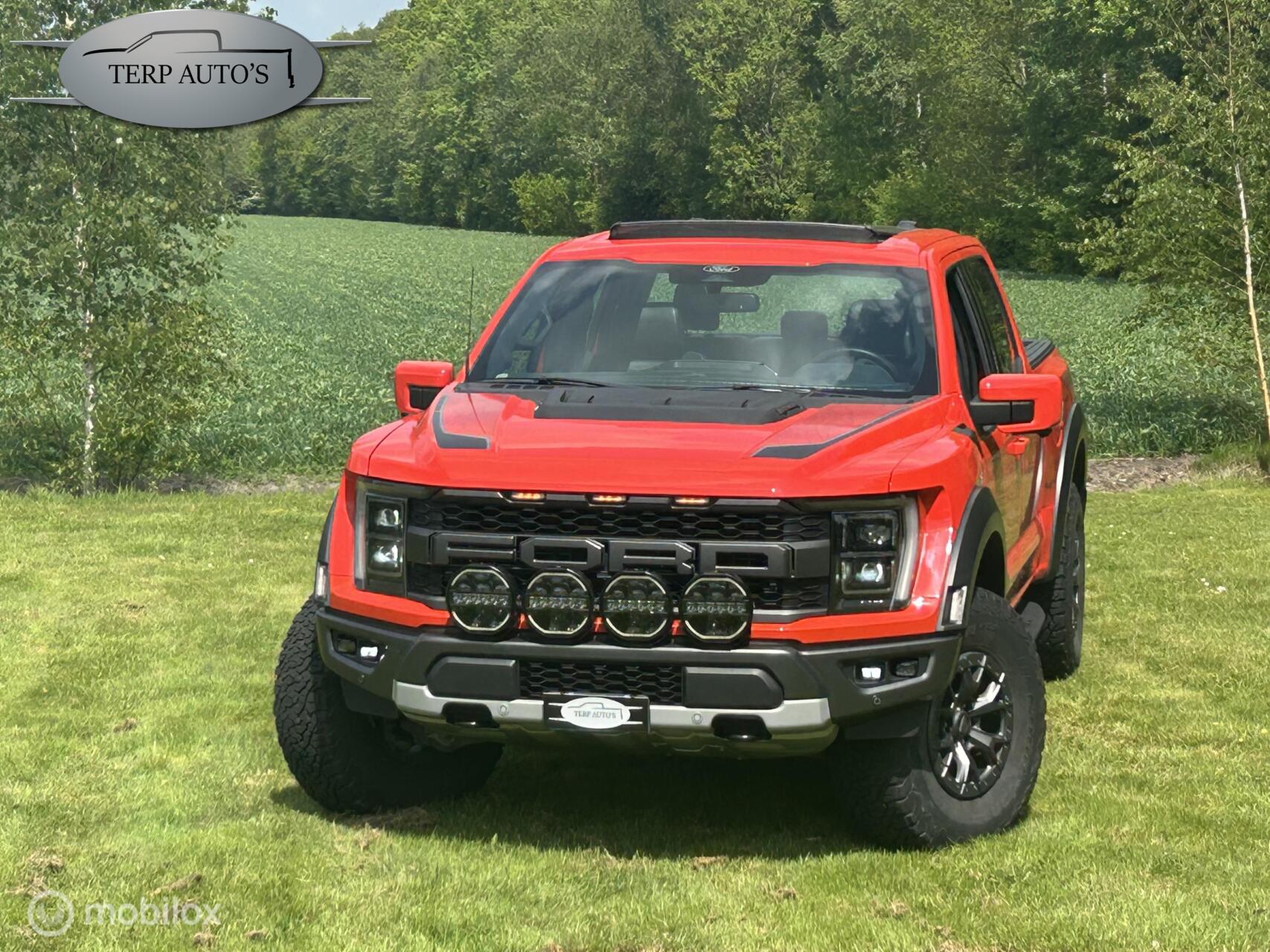 Foto van Ford F-150