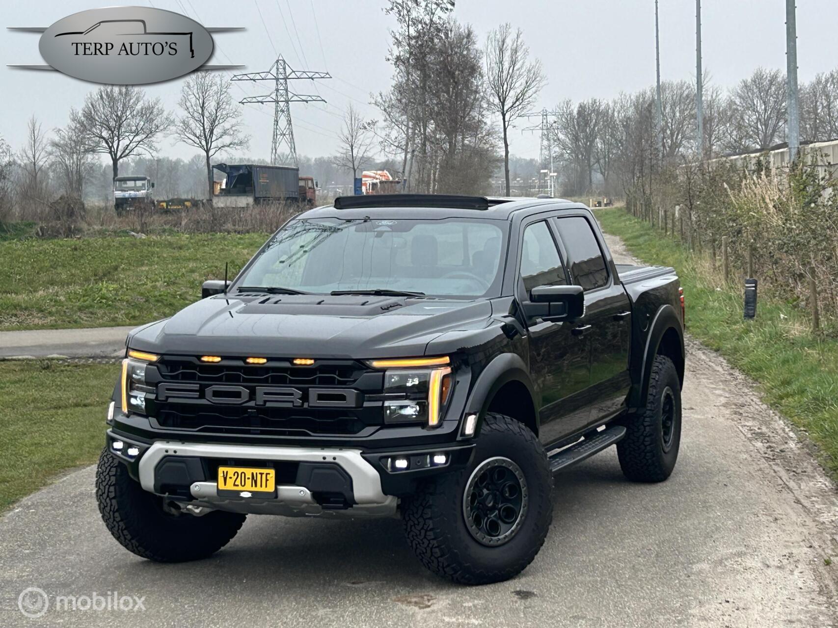 Foto van Ford F-150