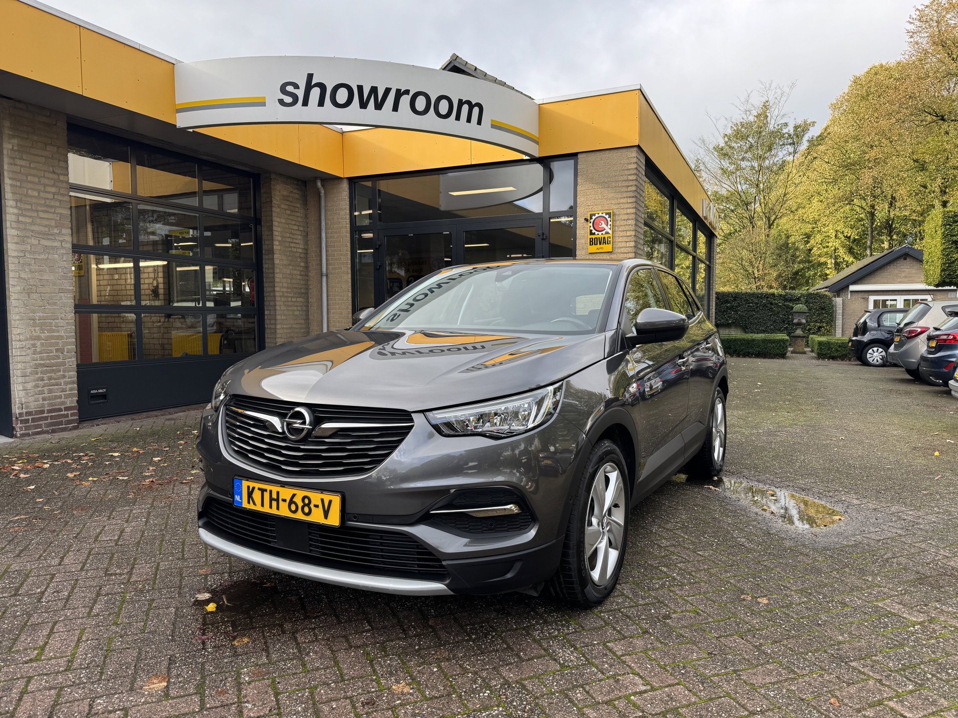 Foto van Opel Grandland X