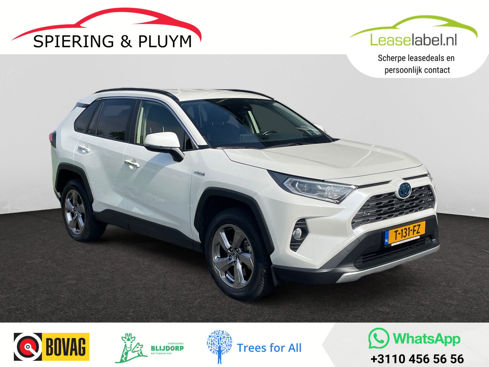 Foto van Toyota RAV4