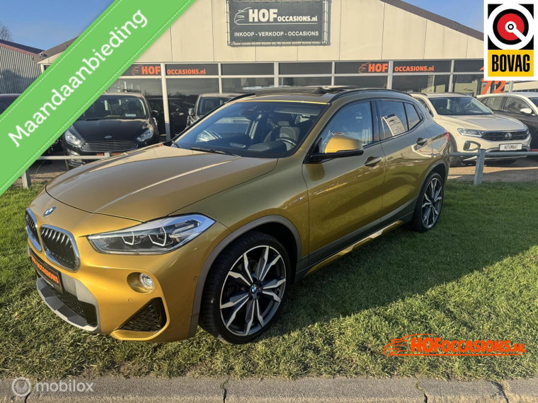 BMW X2