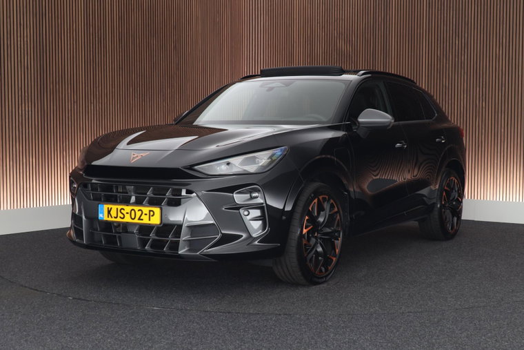 Foto van CUPRA Terramar