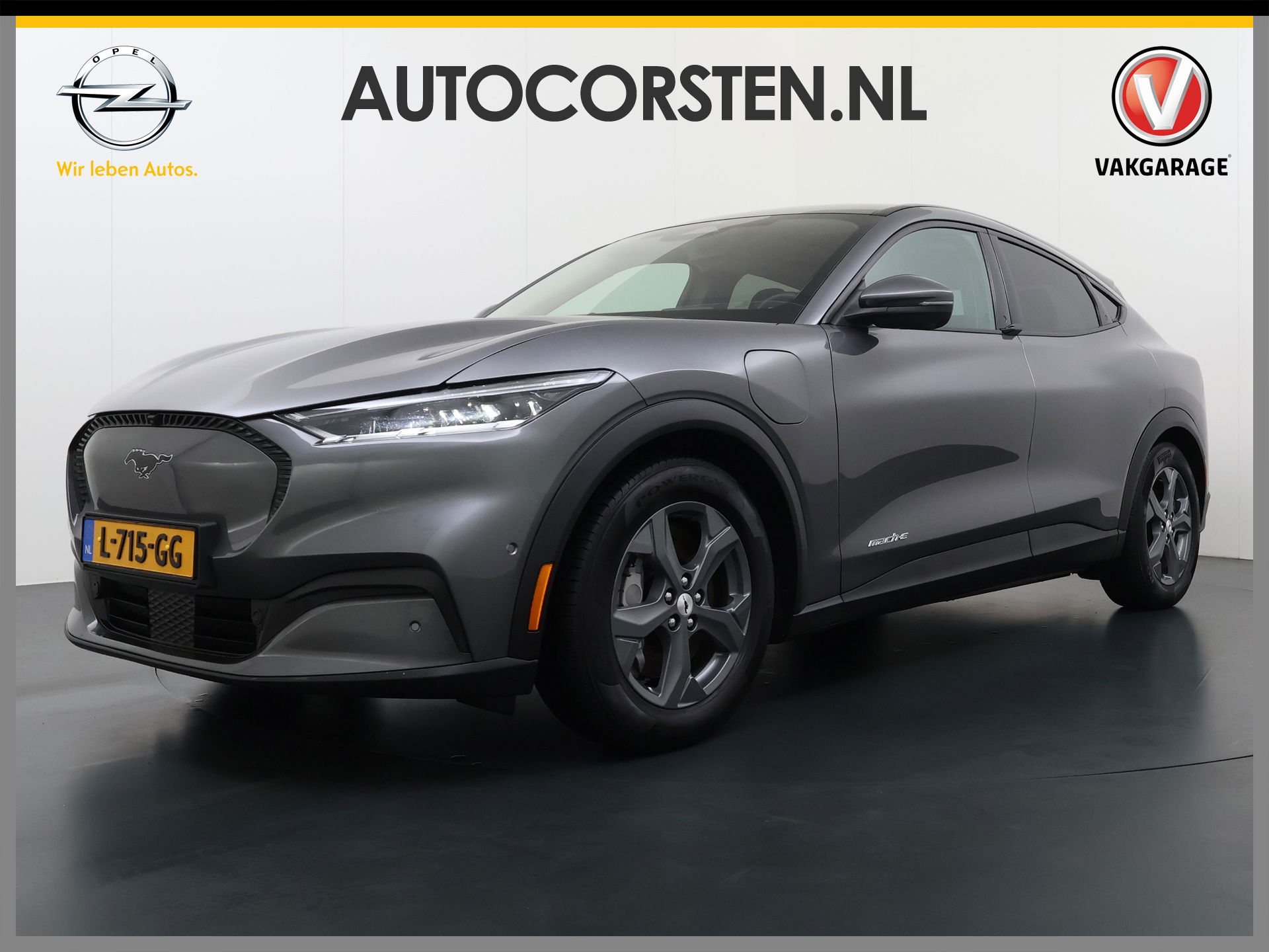 Foto van Ford Mustang Mach-E