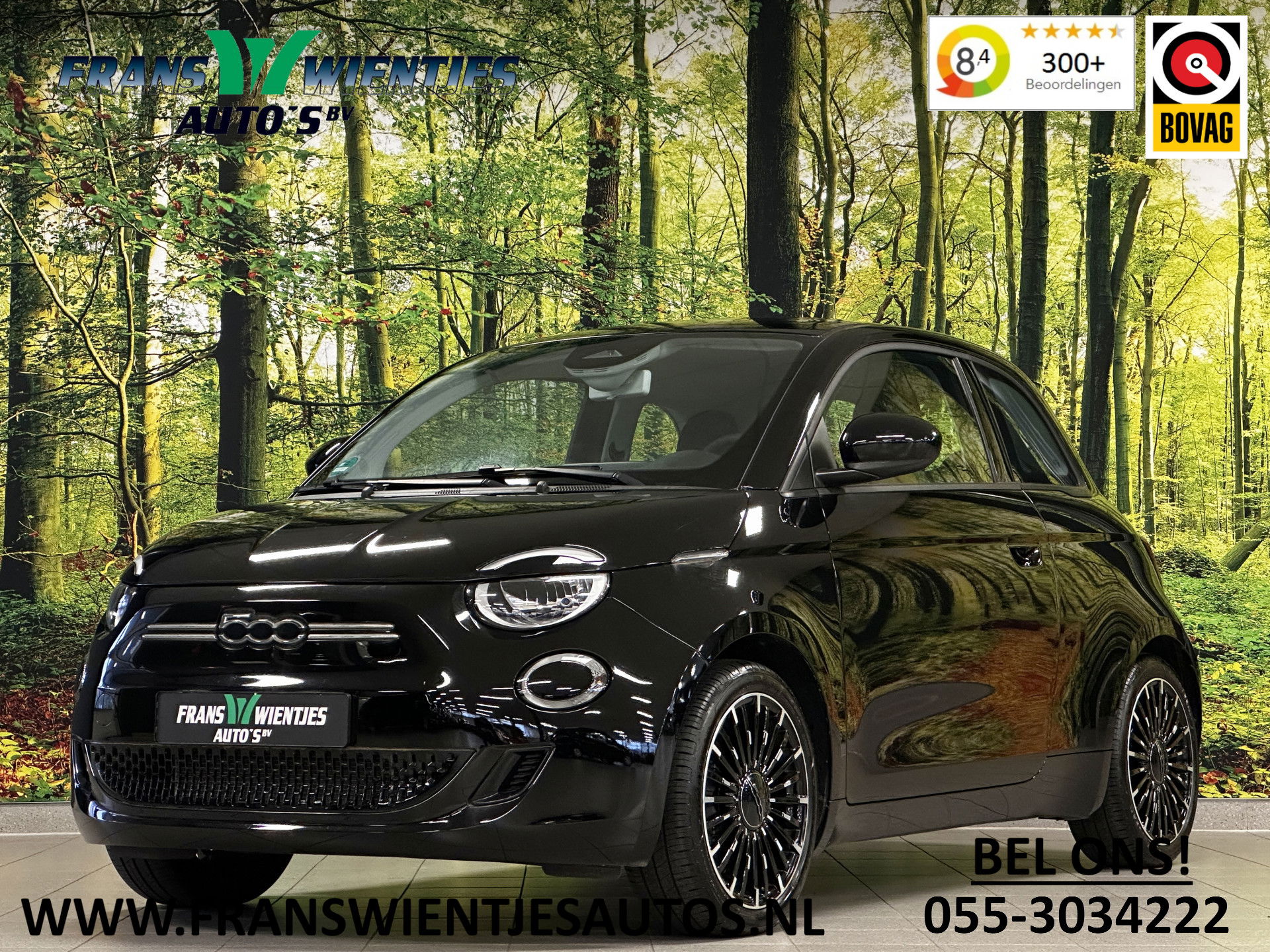 Foto van Fiat 500E