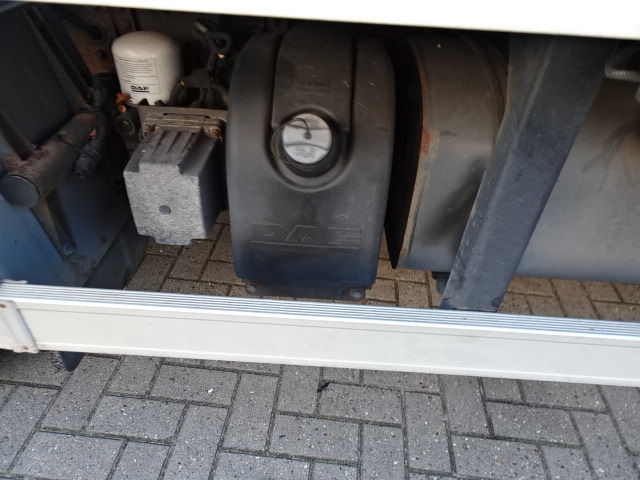 DAF 