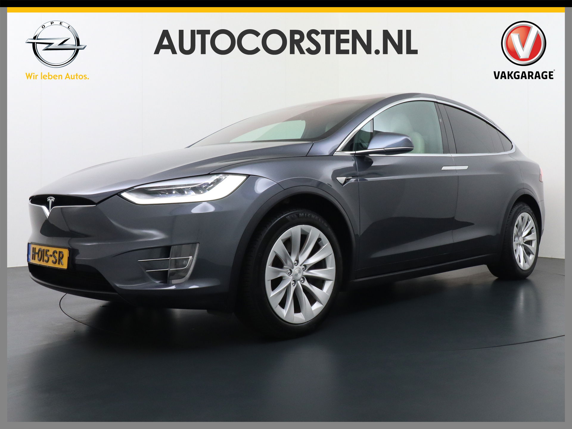 Foto van Tesla Model X