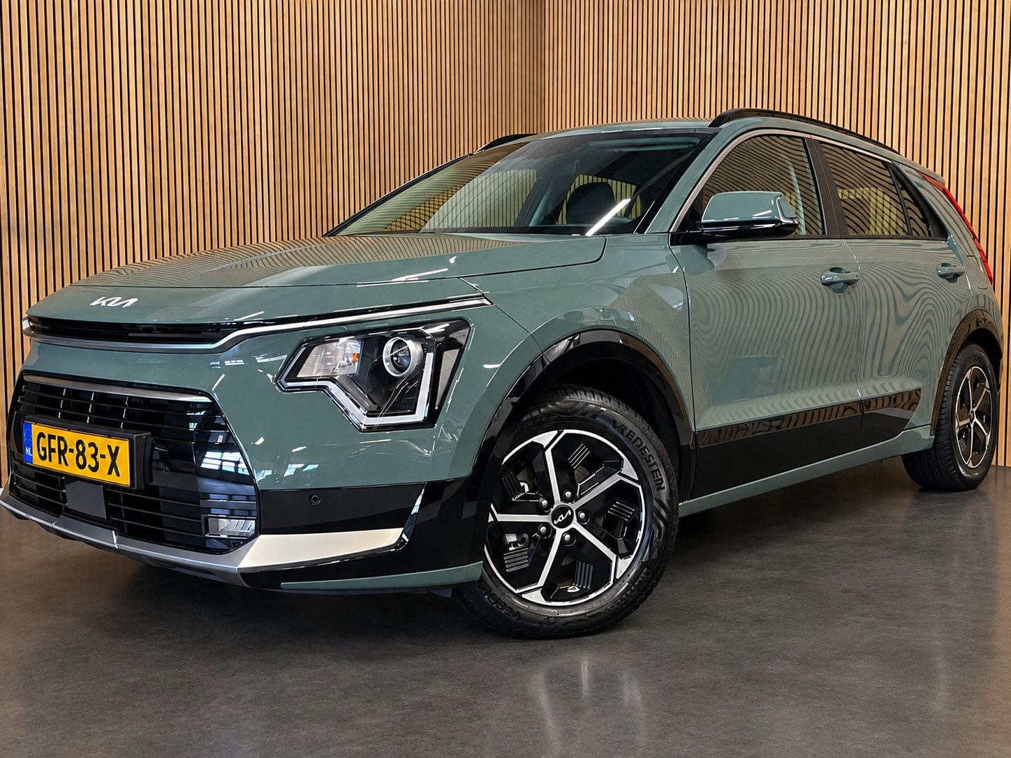 Foto van Kia Niro