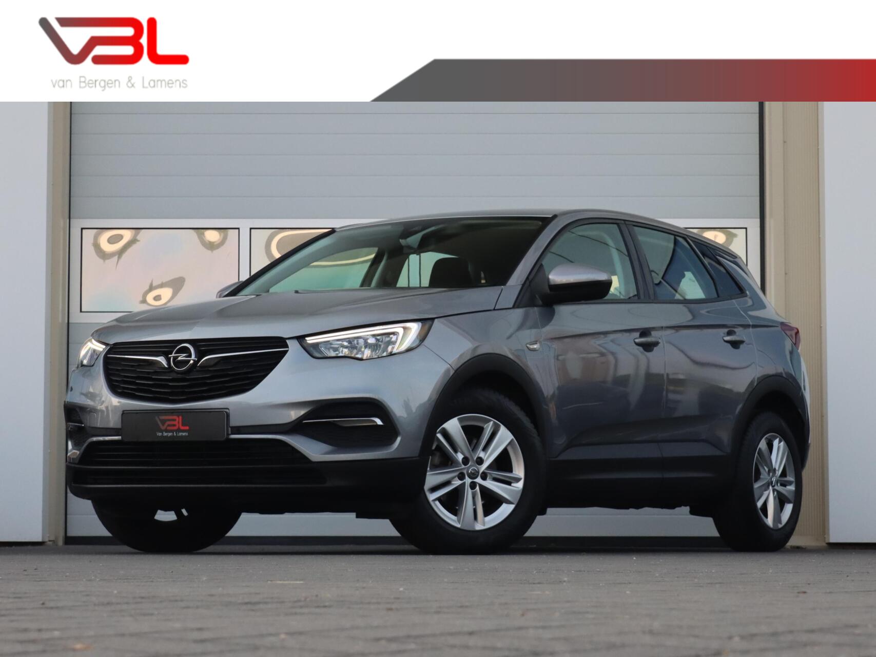 Foto van Opel Grandland X