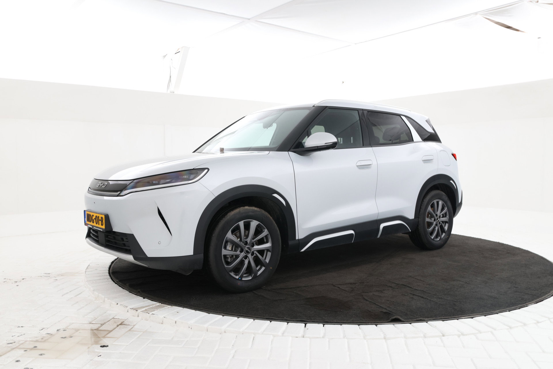 Foto van BYD ATTO 2