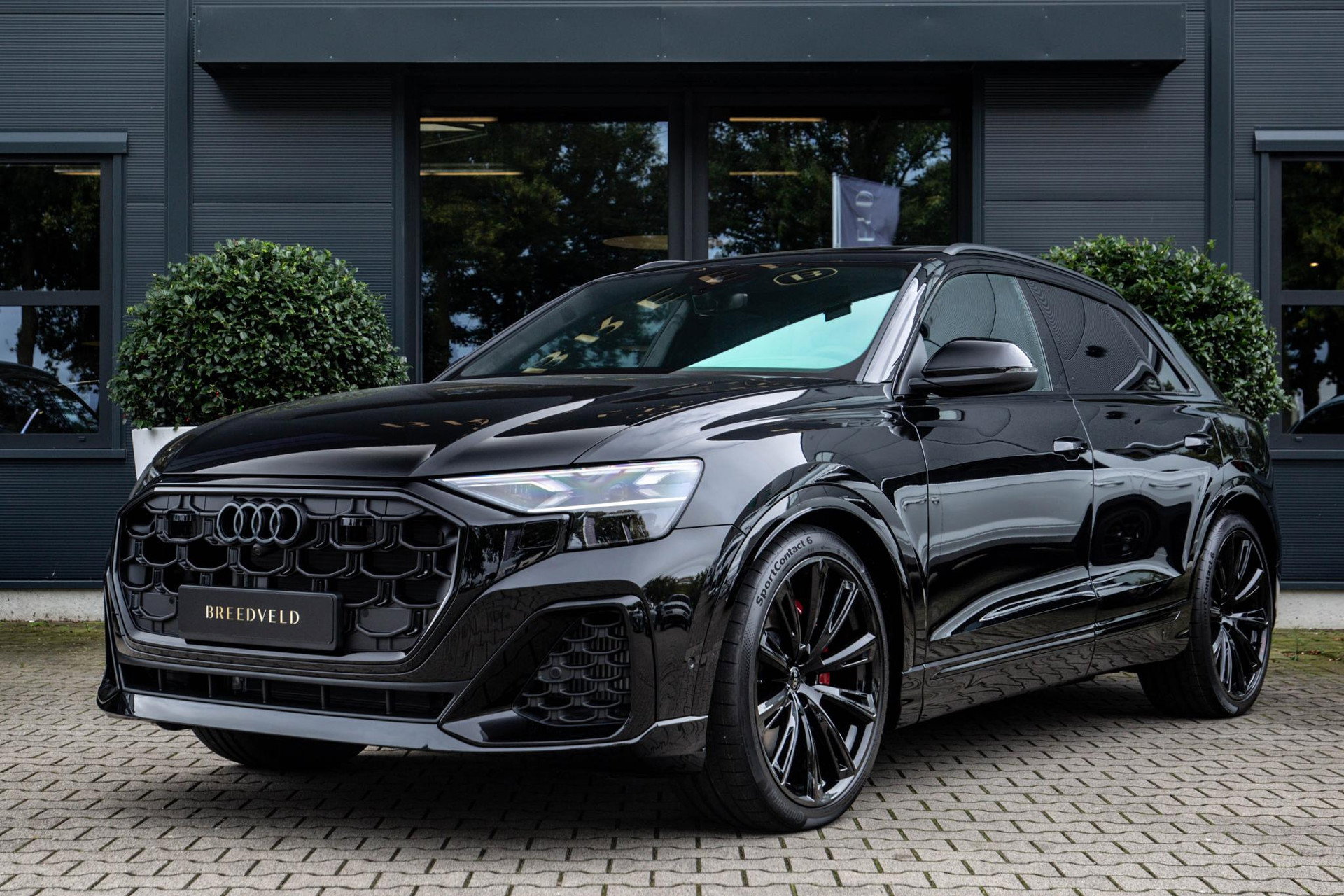 Foto van Audi Q8