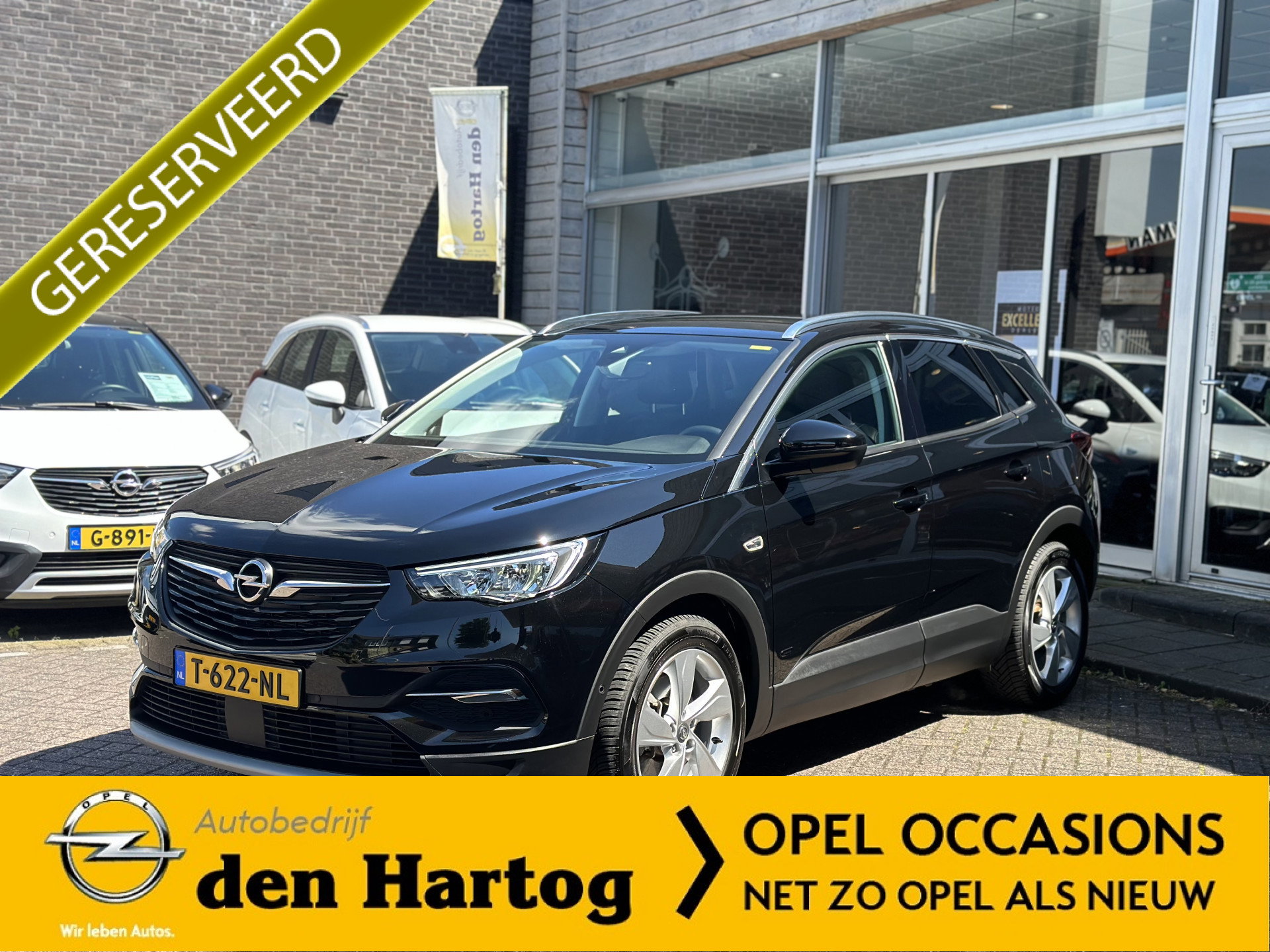 Foto van Opel Grandland X