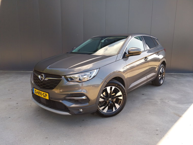 Foto van Opel Grandland X