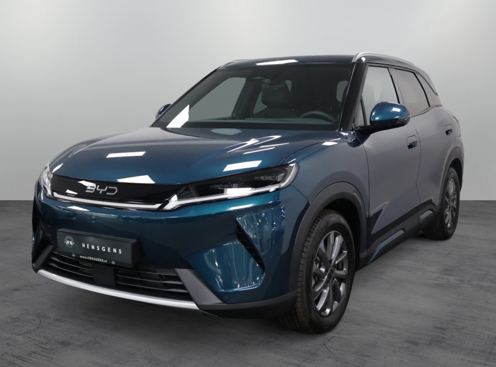 Foto van BYD ATTO 2