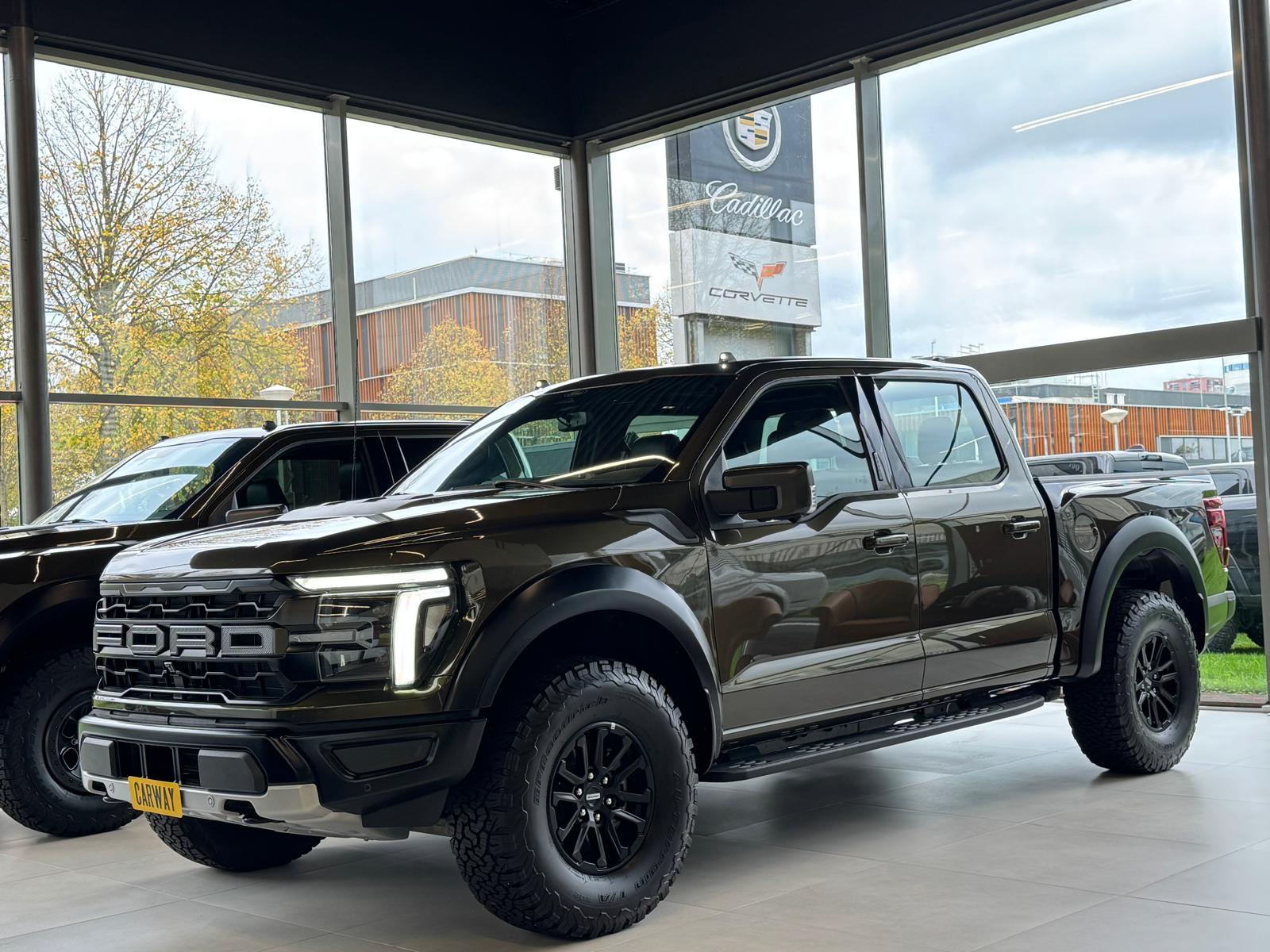 Foto van Ford F-150