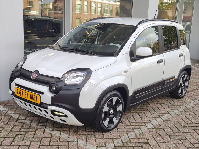 Foto van Fiat Pandina