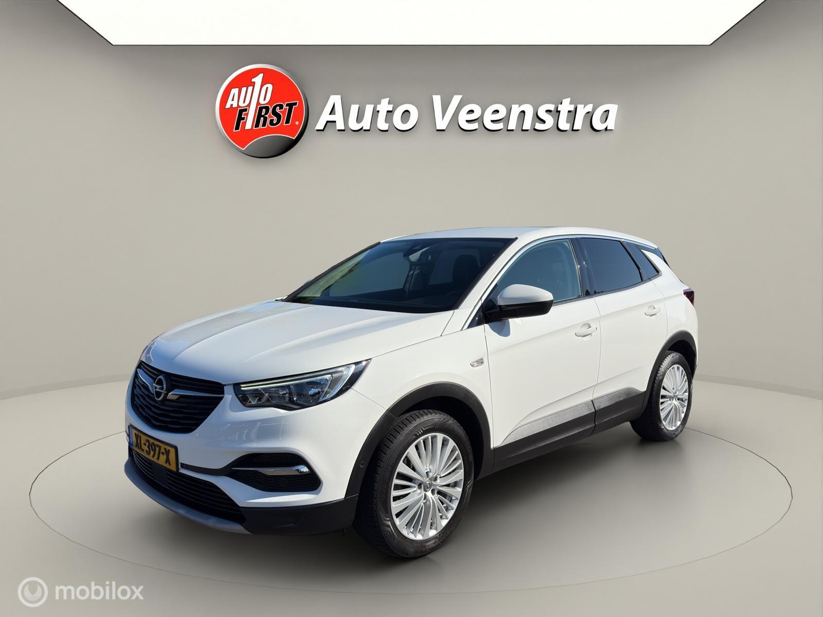 Foto van Opel Grandland X