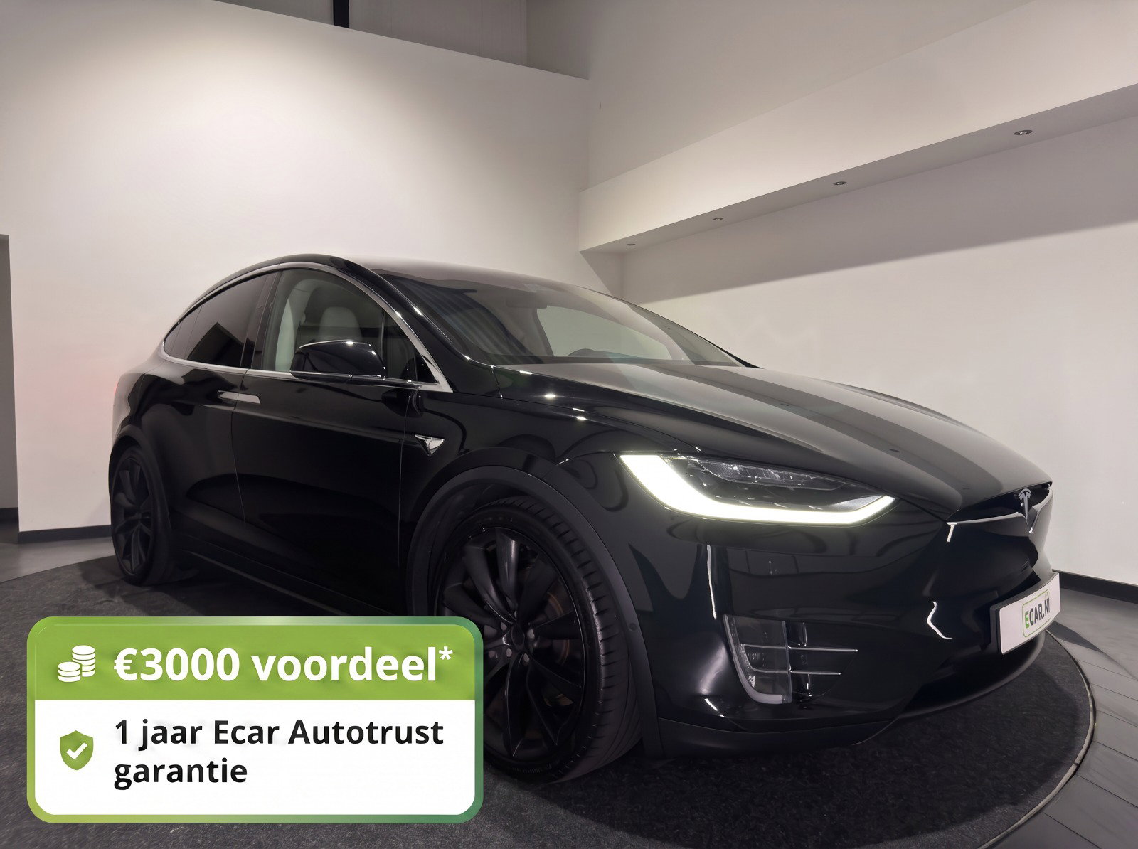 Foto van Tesla Model X