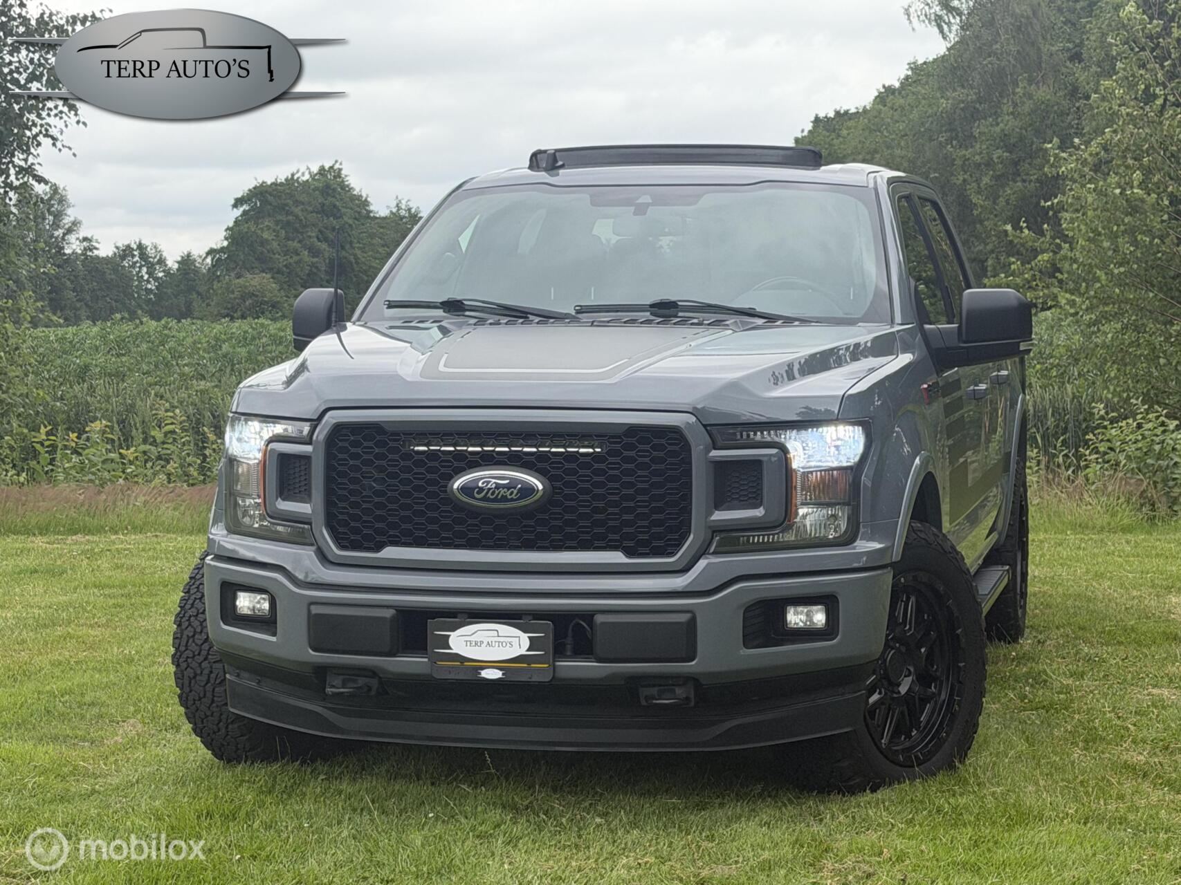 Foto van Ford F-150
