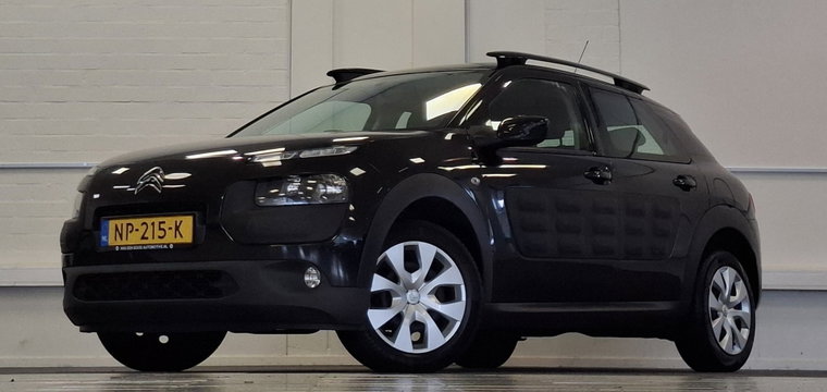 Foto van Citroën C4 Cactus
