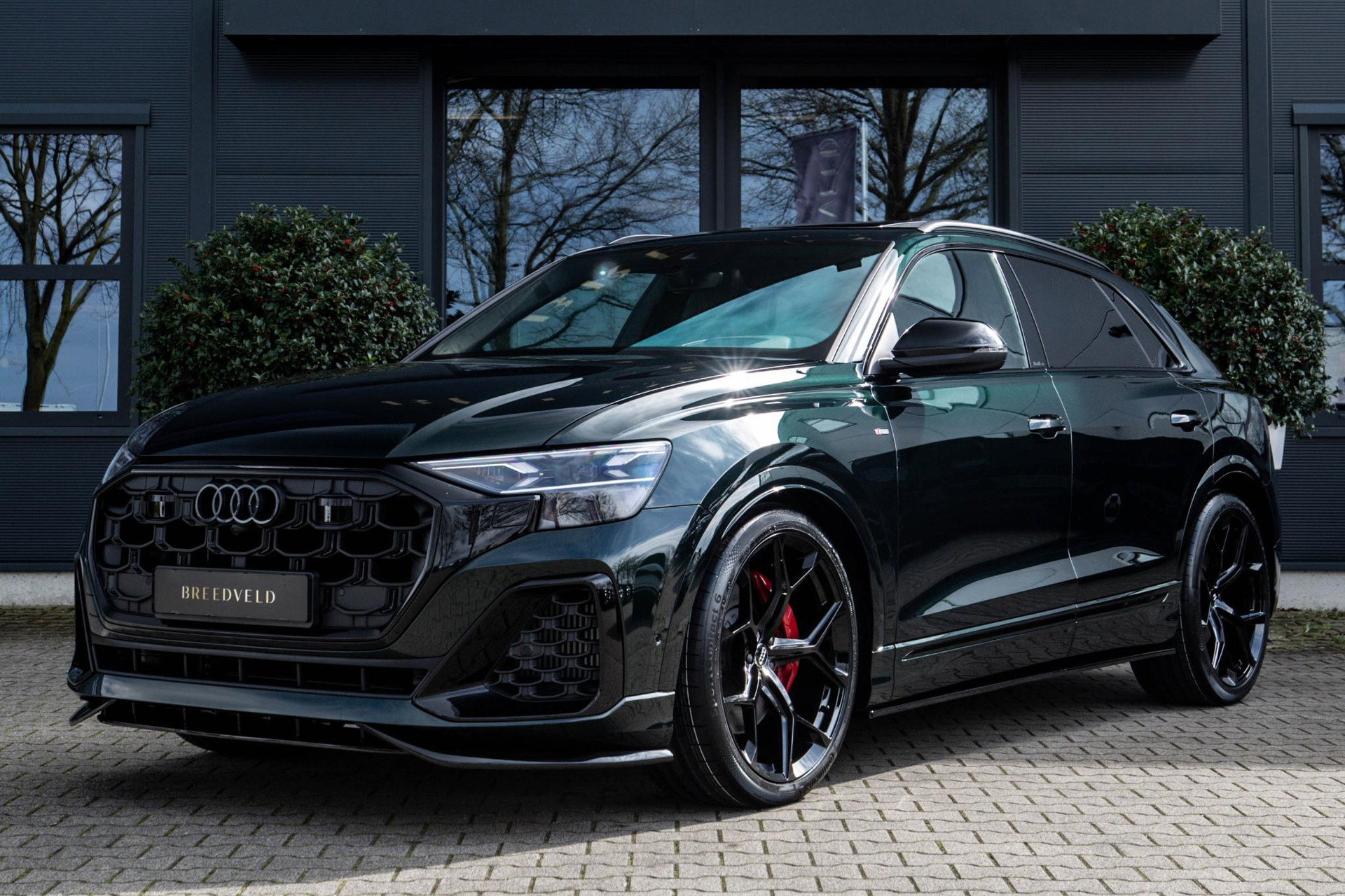 Foto van Audi Q8