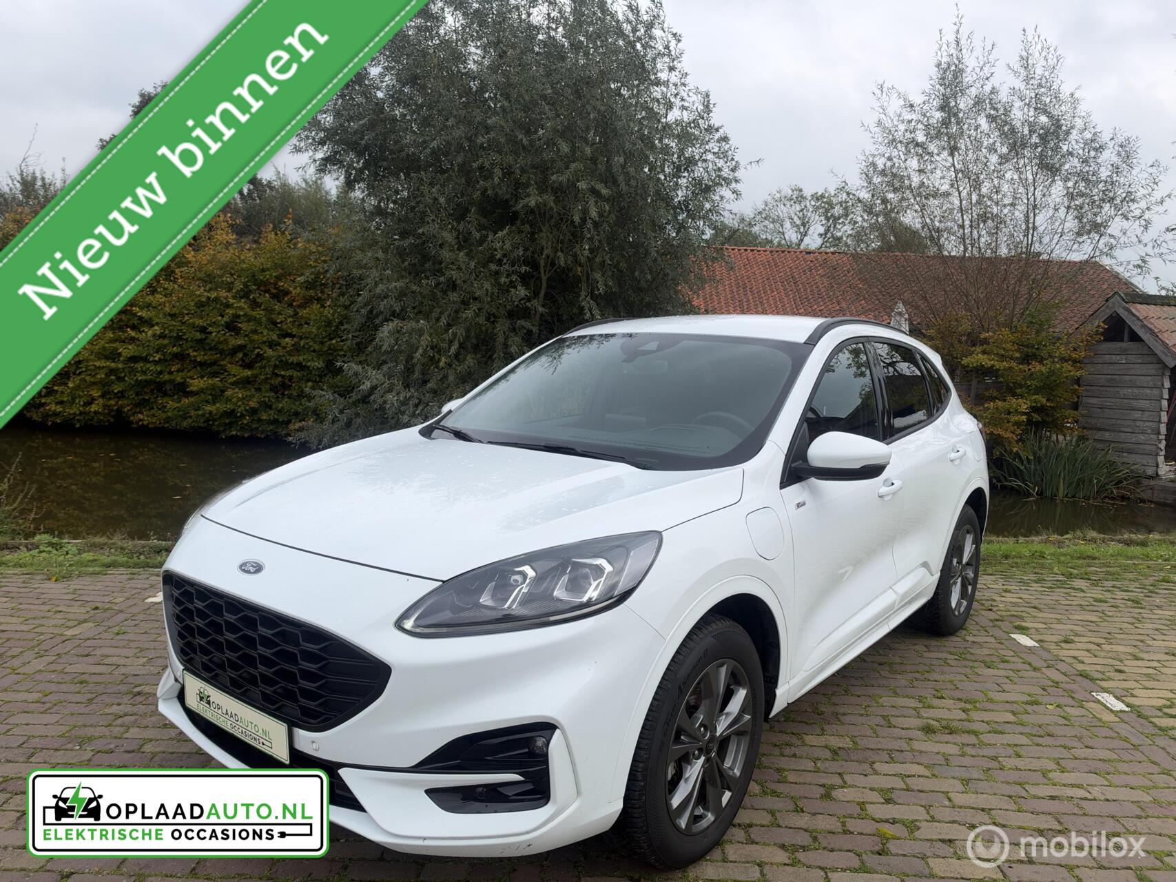 Foto van Ford Kuga