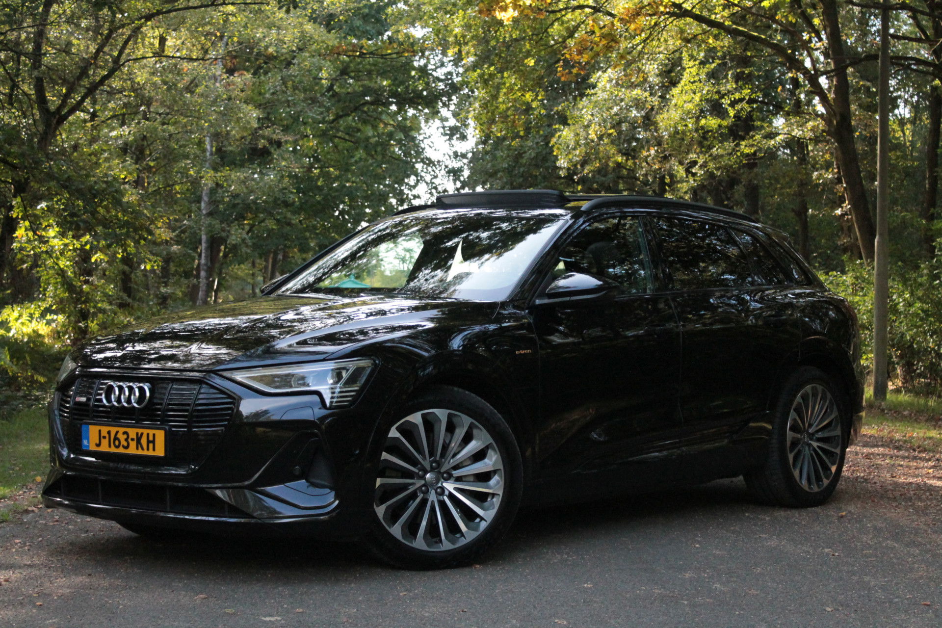 Foto van Audi e-tron