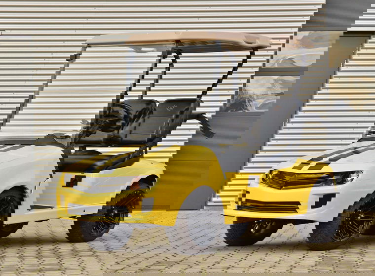 Foto van EZGO Golfkar