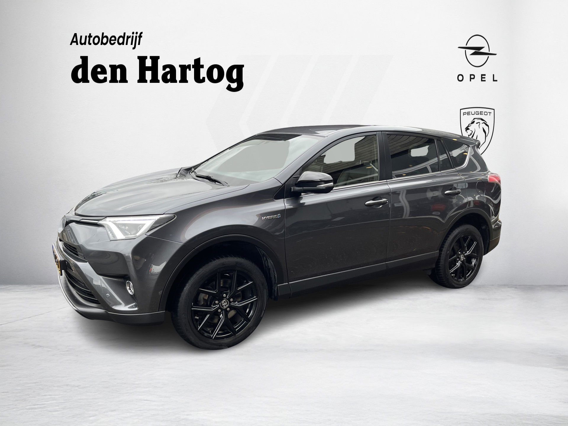 Foto van Toyota RAV4