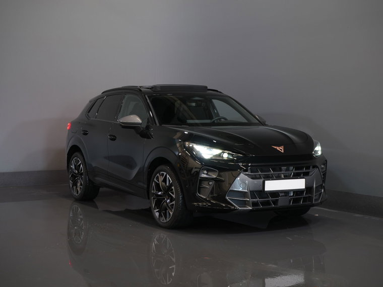 Foto van CUPRA Terramar