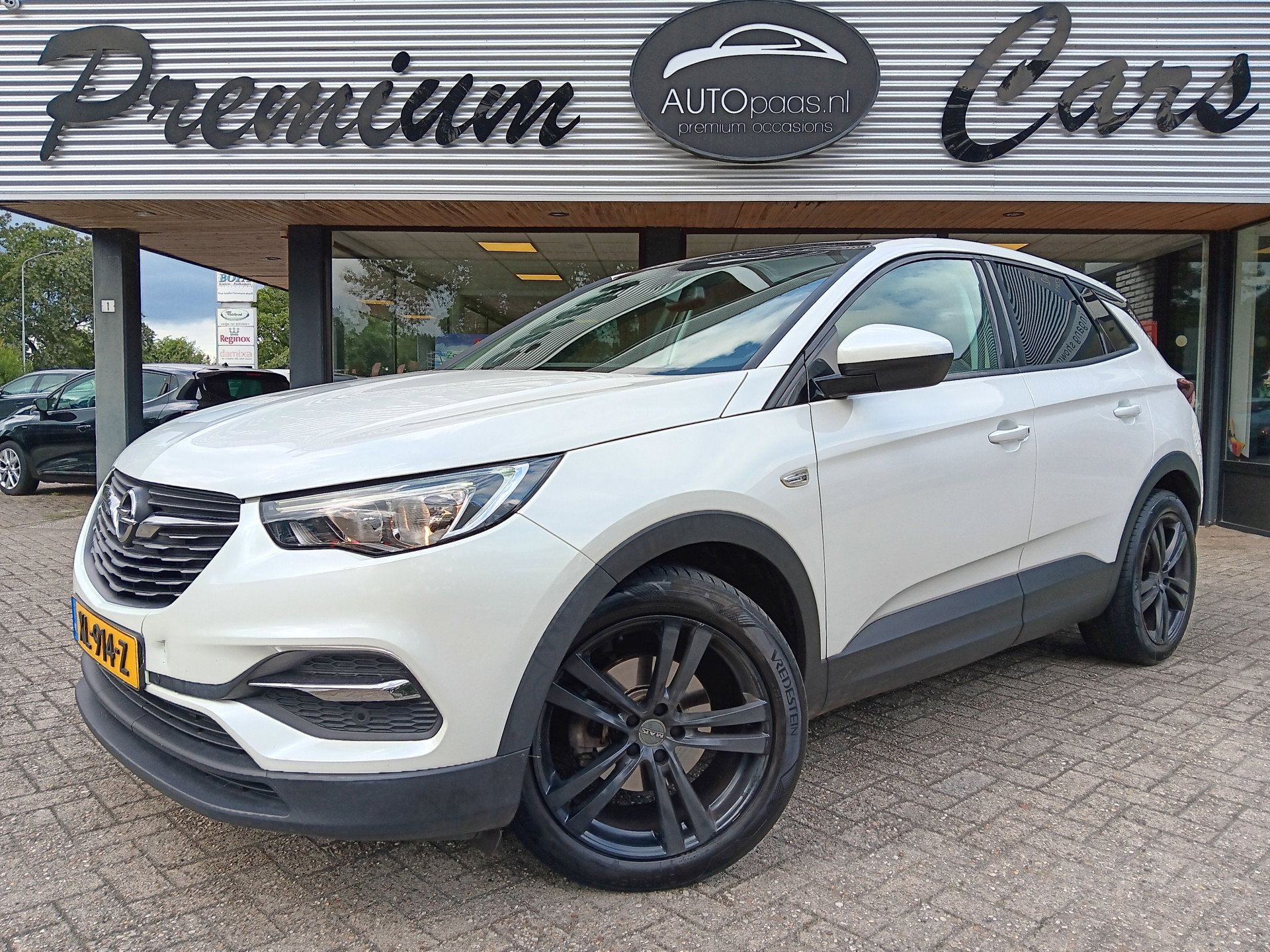 Foto van Opel Grandland X
