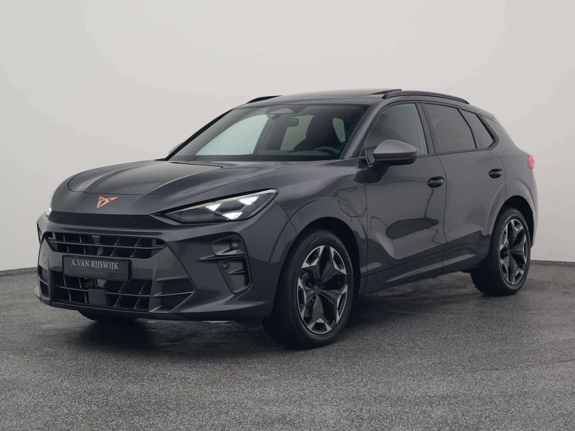Foto van CUPRA Terramar