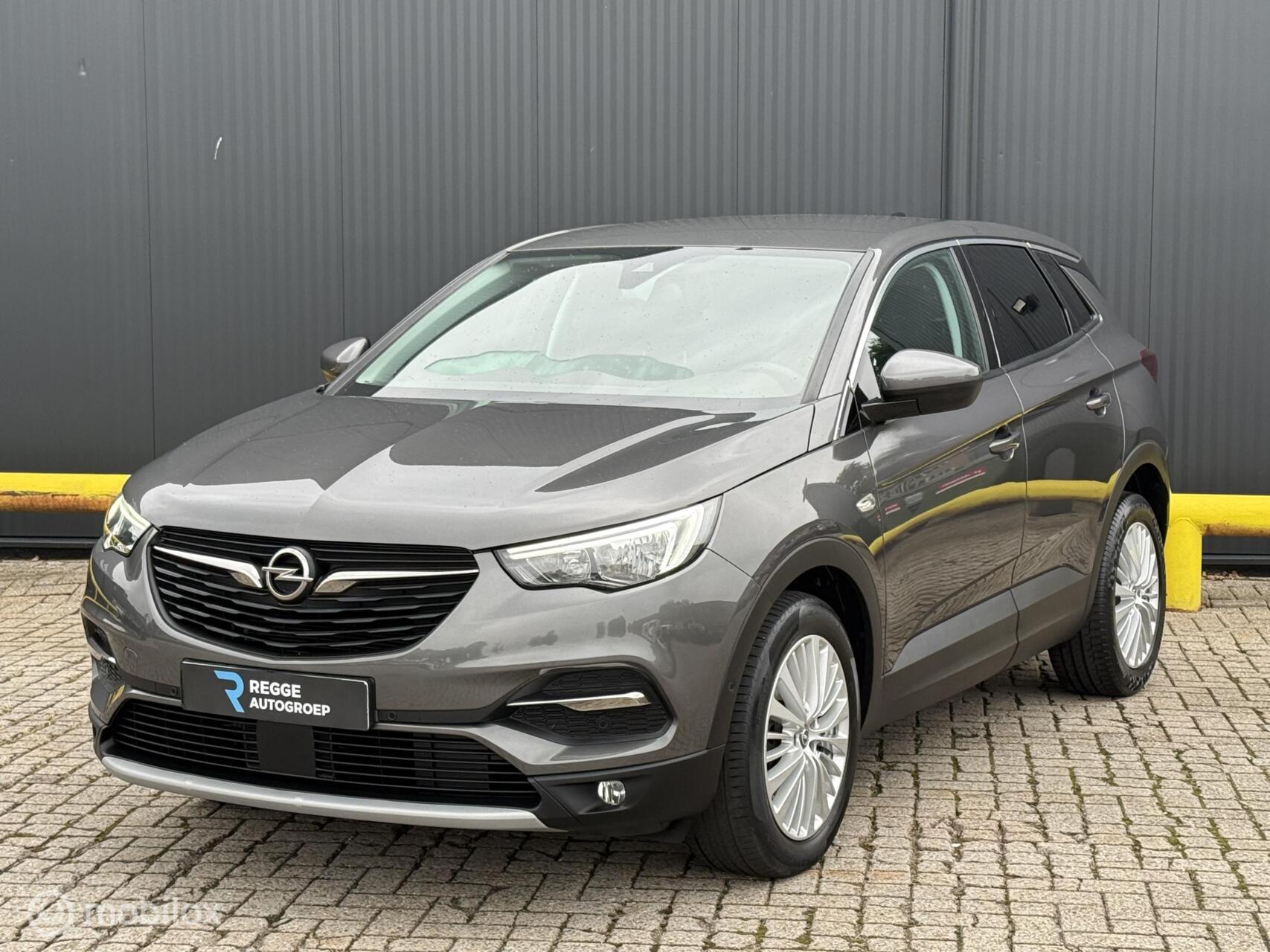Foto van Opel Grandland X