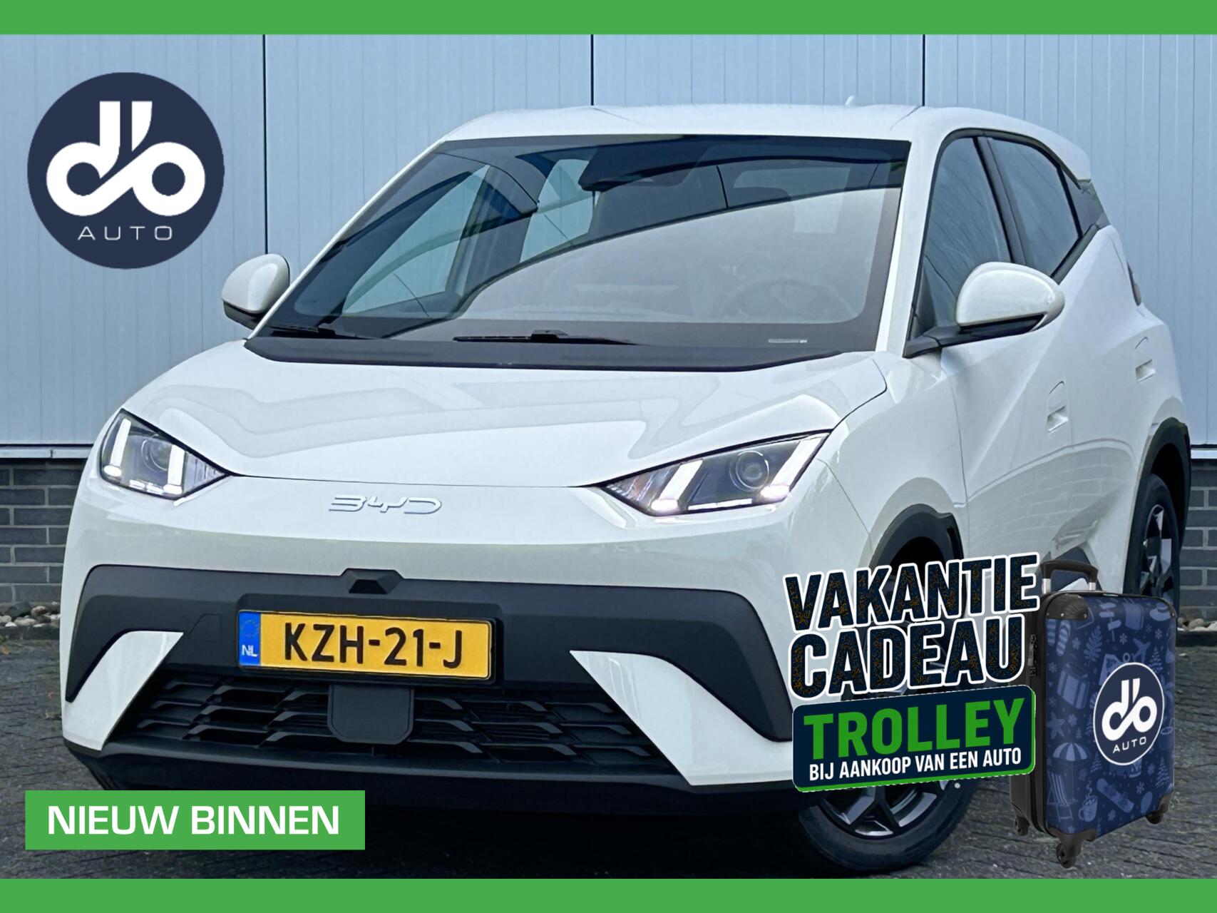 Foto van BYD DOLPHIN SURF
