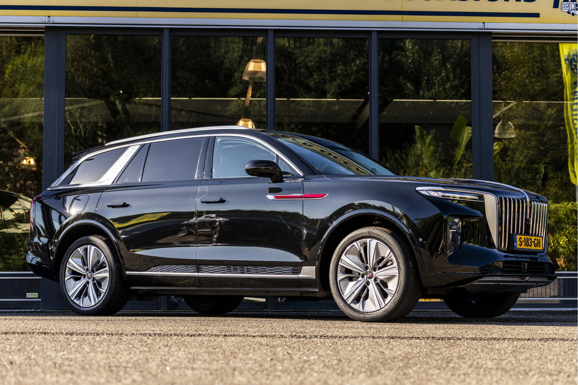Foto van Hongqi E-HS9