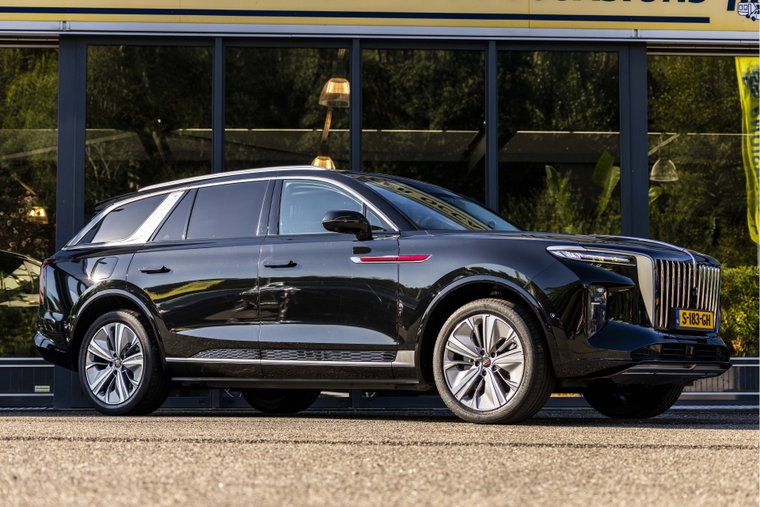Foto van Hongqi E-HS9